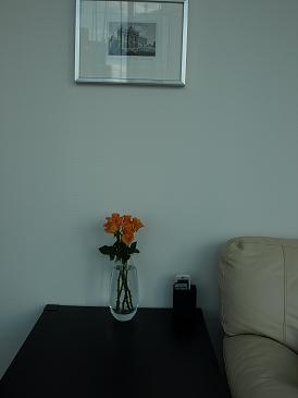 c0102268_22233785.jpg