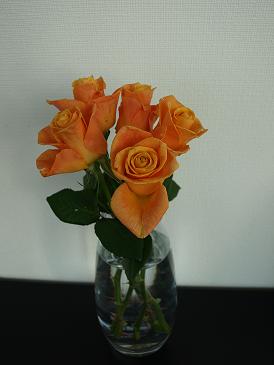 c0102268_2273335.jpg