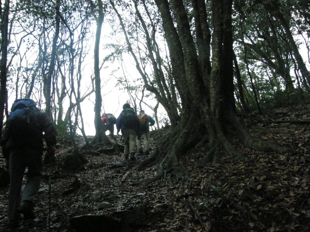 c0042869_21153478.jpg