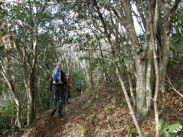 c0042869_21204770.jpg