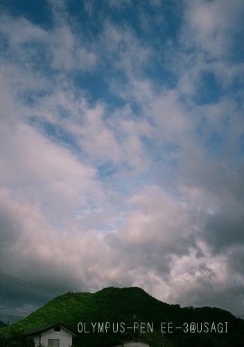 d0132769_20201261.jpg