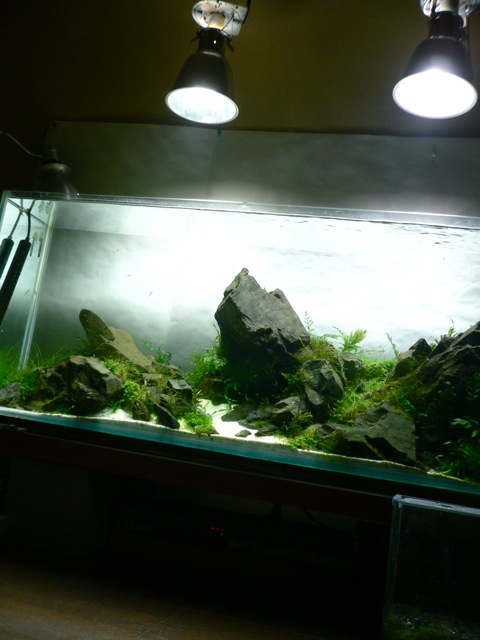 e0112379_23101688.jpg