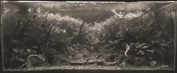 f0087479_2274412.jpg