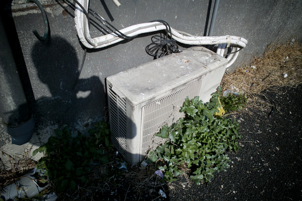 d0089281_16443965.jpg