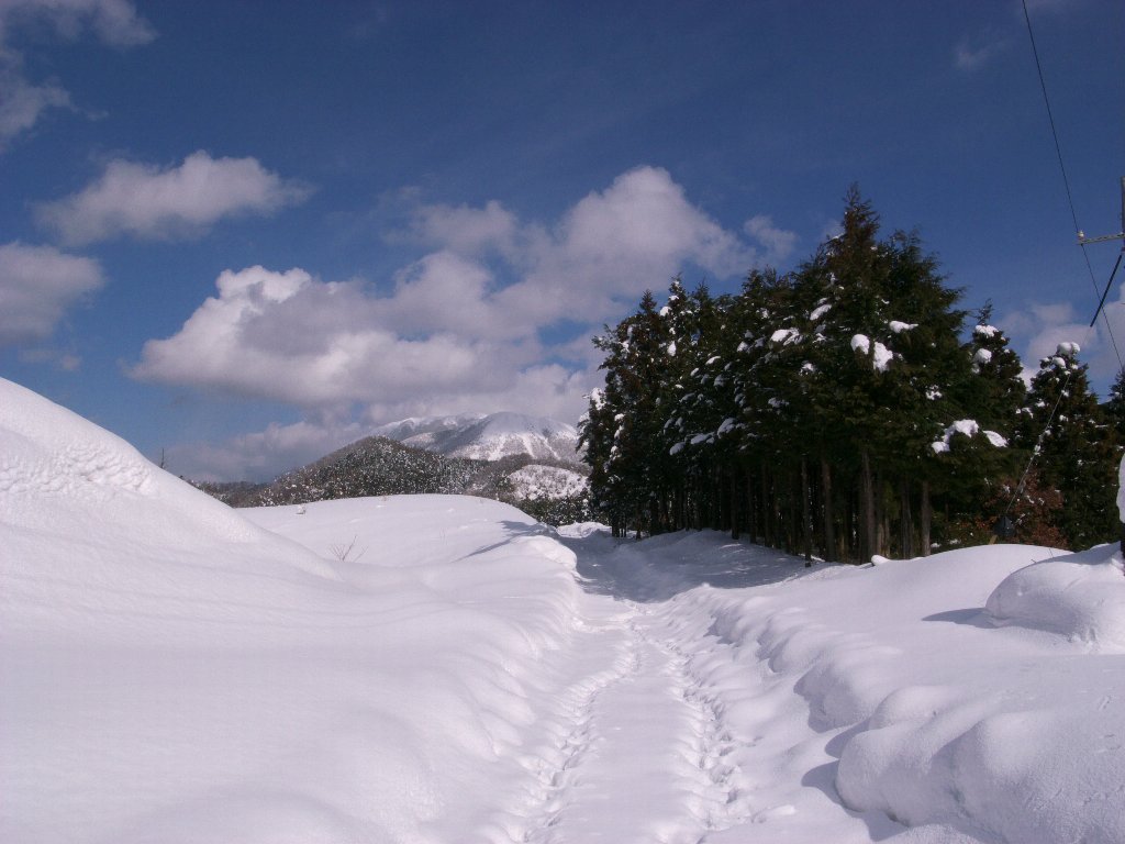 a0076683_1923669.jpg
