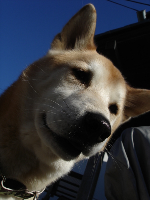 f0054783_1112284.jpg