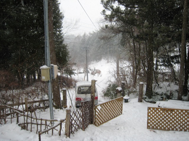 d0065484_1744507.jpg