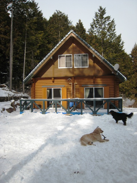 d0065484_17534937.jpg