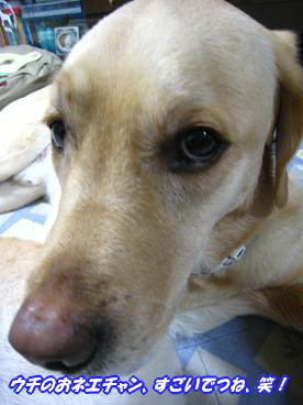 c0028792_23582883.jpg