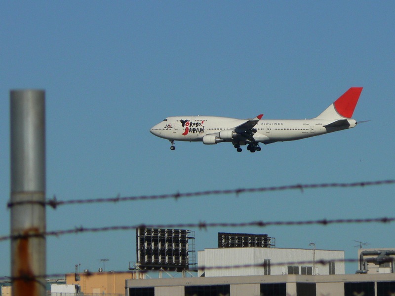 c0064899_1621325.jpg