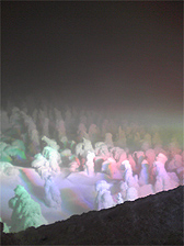 c0044700_122238.jpg