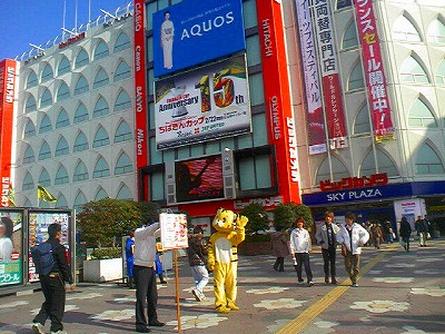 a0024005_1645336.jpg