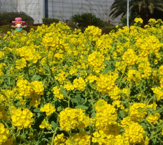 c0041207_1201875.jpg