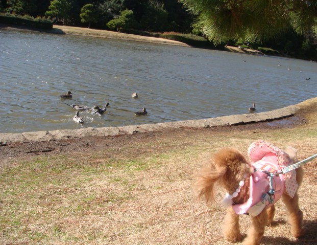 c0041207_1242790.jpg
