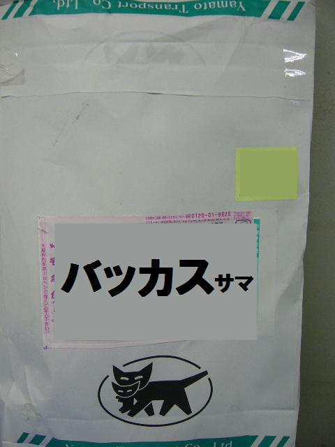 e0015108_201556.jpg