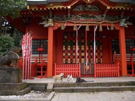e0078510_2316306.jpg