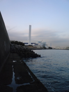 b0121015_18257.jpg