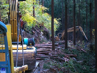 e0002820_21431218.jpg