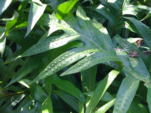 b0026822_22525022.jpg