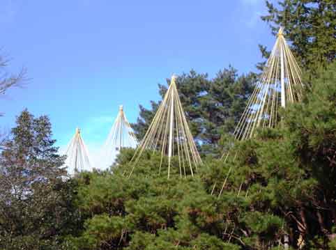 c0098228_42778.jpg