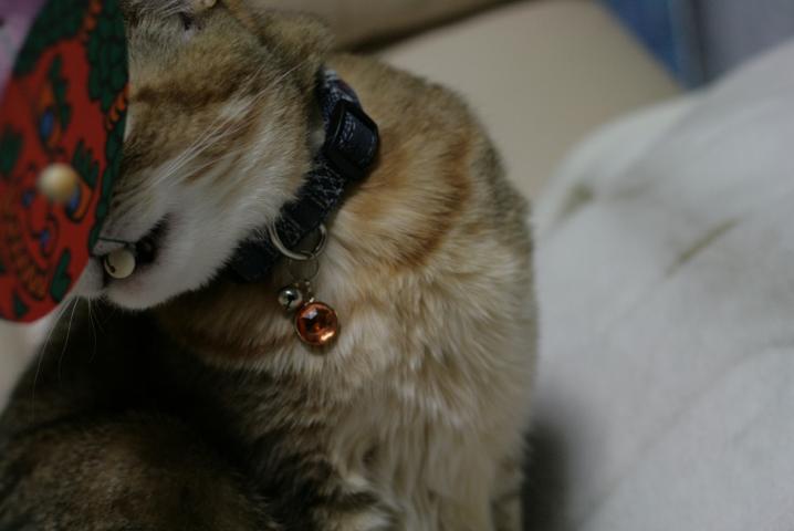f0055228_20491683.jpg