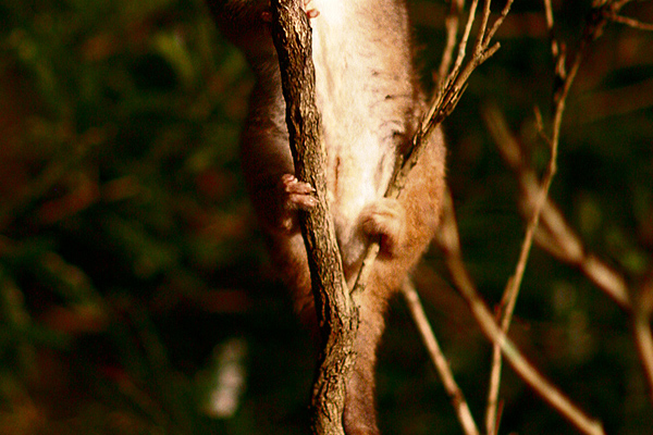 e0155629_15392450.jpg