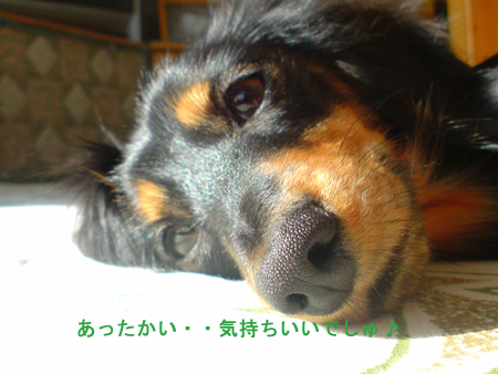c0117831_2054427.jpg