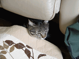 c0136736_1165017.gif