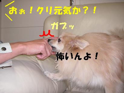 c0179136_173518.jpg