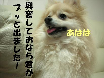c0179136_181899.jpg