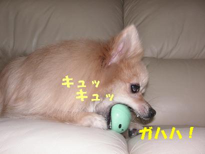 c0179136_18593.jpg
