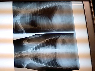 c0117239_7112813.jpg