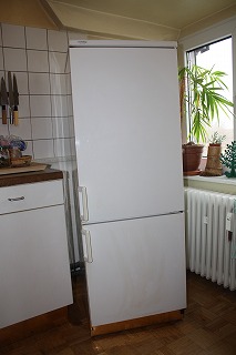 c0153740_4163476.jpg