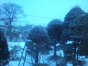 c0153444_1011237.jpg