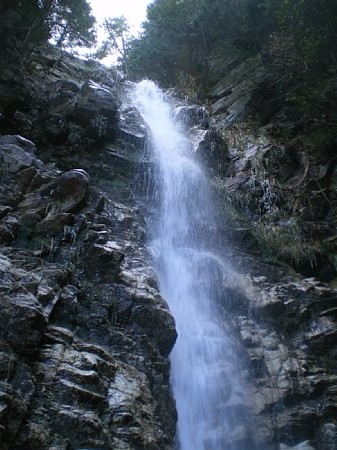 c0042847_15131323.jpg