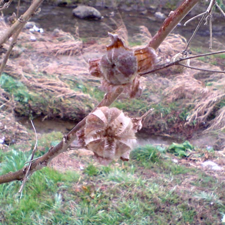 e0034047_16495551.jpg