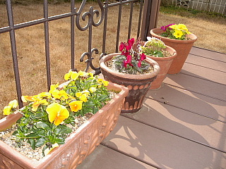 c0123149_15203624.jpg
