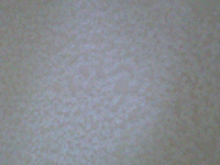 e0151758_1303731.jpg