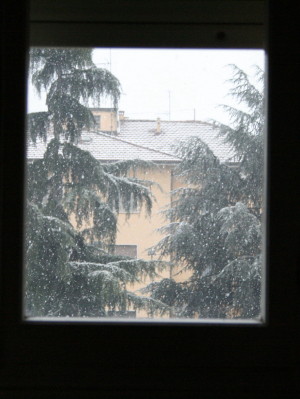f0077159_119045.jpg