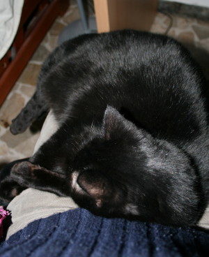 f0077159_121458.jpg
