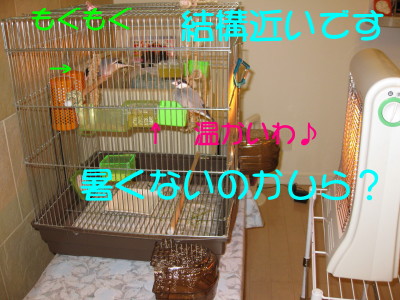 b0158061_2131647.jpg