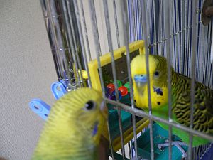 f0196665_0371127.jpg