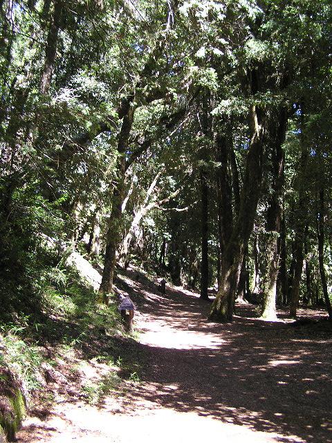 c0103368_2235367.jpg