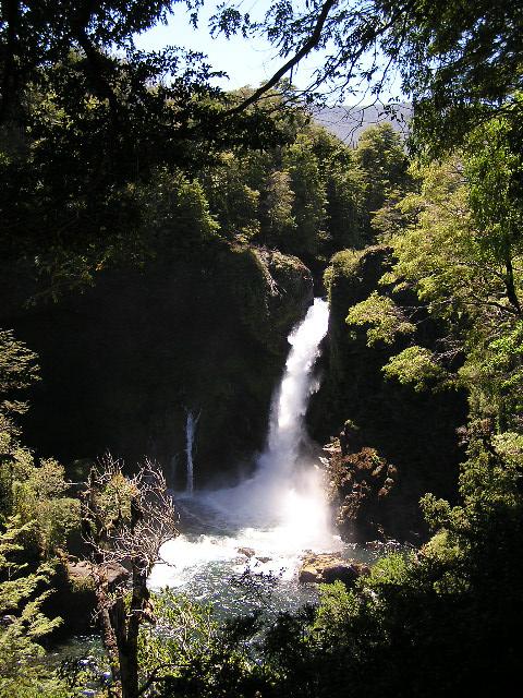 c0103368_22354435.jpg