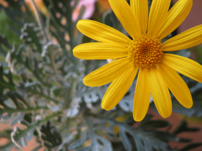 d0050472_13311295.gif