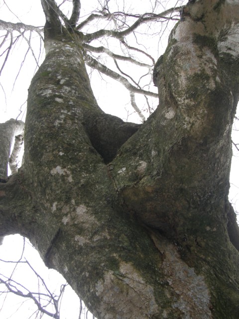 d0134473_1715246.jpg
