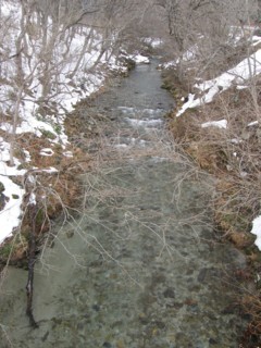 d0134473_175255.jpg