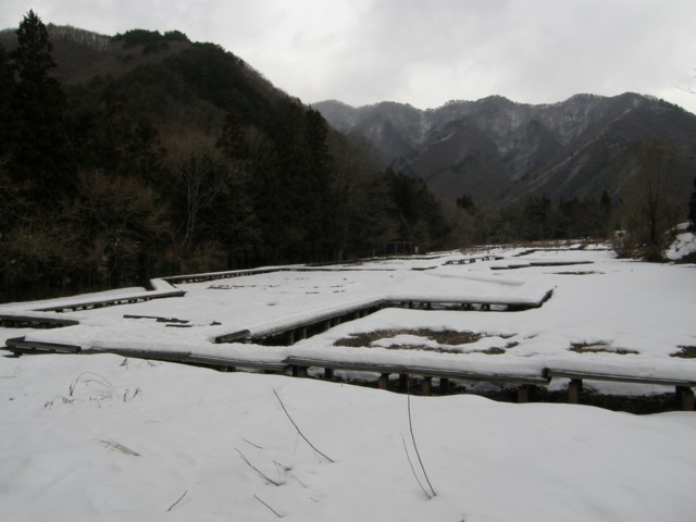 d0134473_1771720.jpg