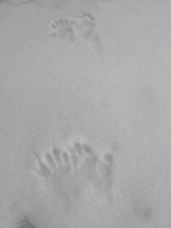 d0134473_1795724.jpg