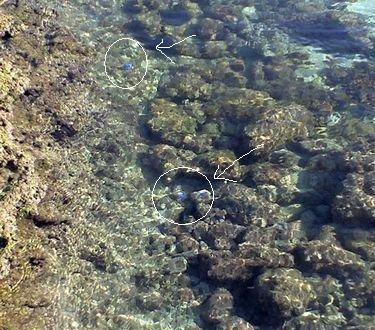 c0139375_18585231.jpg